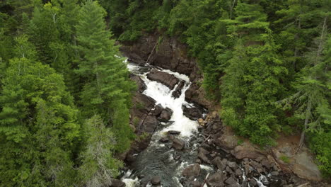 aerial view of water flowing through a forest at oxtongue falls, algonquin park, ontario, canada