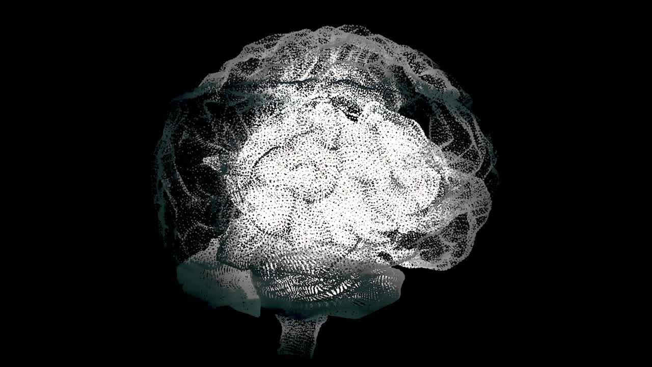 3D Model of Human Brain