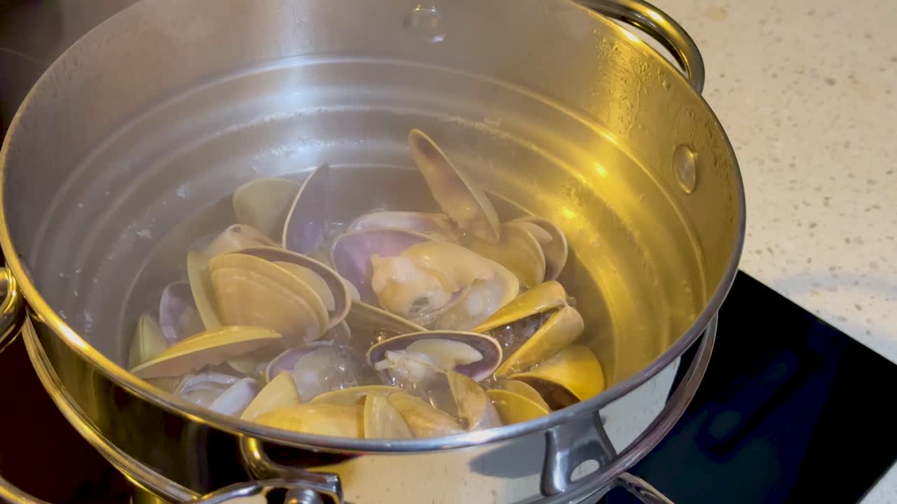 Shellfish steaming in a pot on a stove