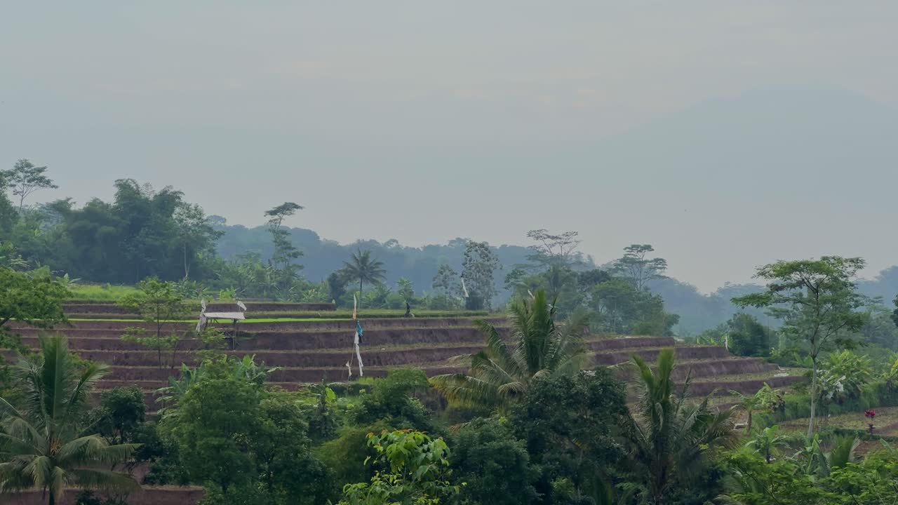 A beautiful scene of terraced rice fields in a rural setting, with farmer working in the distance
