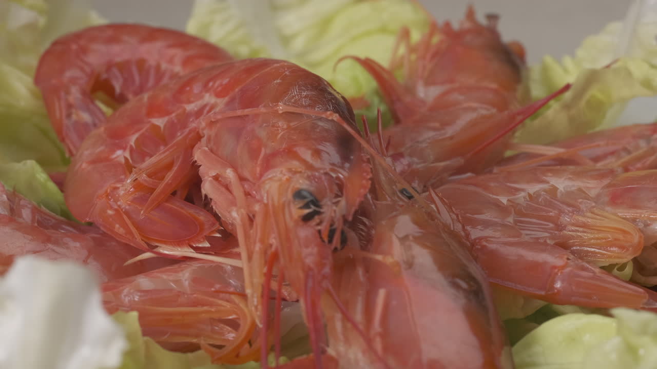 샐러드에서 회전하는 원시 빨간색 아르헨티나 새우