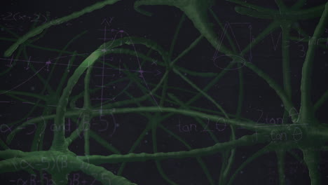 animación de ecuaciones matemáticas sobre las neuronas en fondo negro