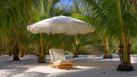beach relaxation under the palm trees