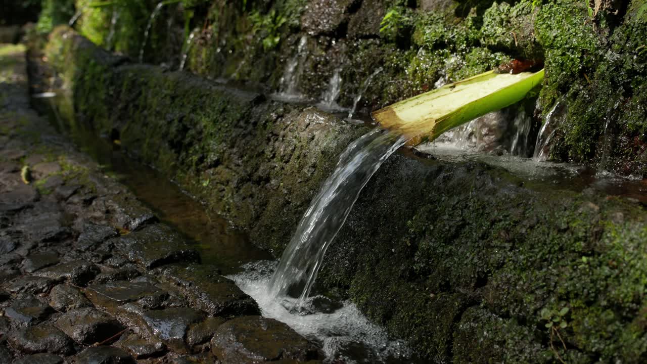 Water flows through a bamboo spout into mossy channels in Barranca del Cupatitzio, Uruapan