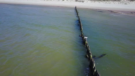 Vista-Aérea-De-Pájaro-De-La-Costa-Del-Mar-Báltico-En-Un-Día-Soleado,-Antiguo-Muelle-De-Madera,-Dunas-De-Arena-Blanca-Dañadas-Por-Las-Olas,-Erosión-Costera,-Cambios-Climáticos,-Tiro-De-Drones-De-Gran-Angular-Avanzando-1