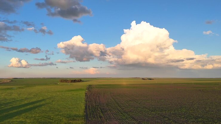 Rekaman Drone Udara, Berputar, dan Menggeser Lahan Pertanian Selama Musim Panas, Pertanian Jagung dan Kedelai dengan Penumpukan Awan di Free State, Afrika Selatan