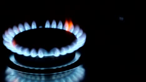 natural gas burning from a kitchen gas stove. blue flame on black background. turning on the cooktop gas cooker, close up