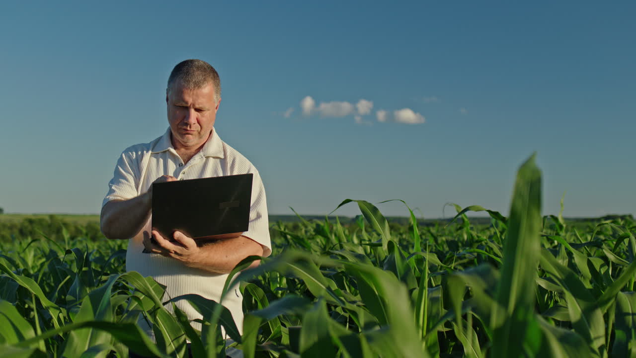 Agricultor usando um laptop em um milharal