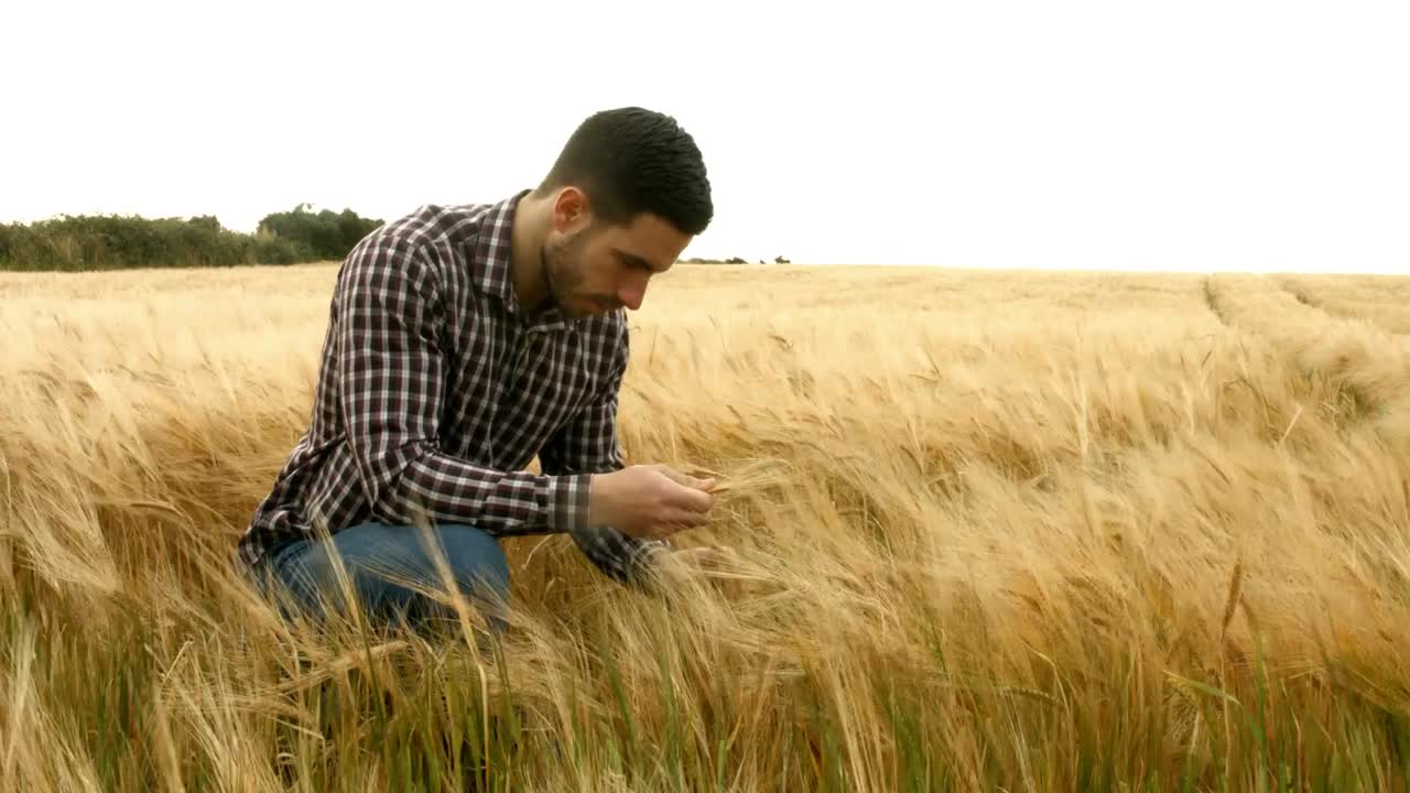 agricultor revisando sus cultivos