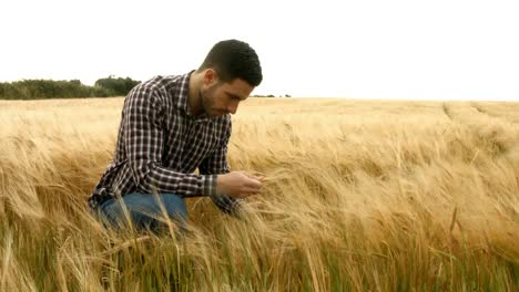 landwirt überprüft seine ernte