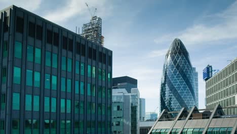 gherkin pan raw 04