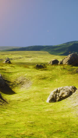 tranquil grassy field with rocks