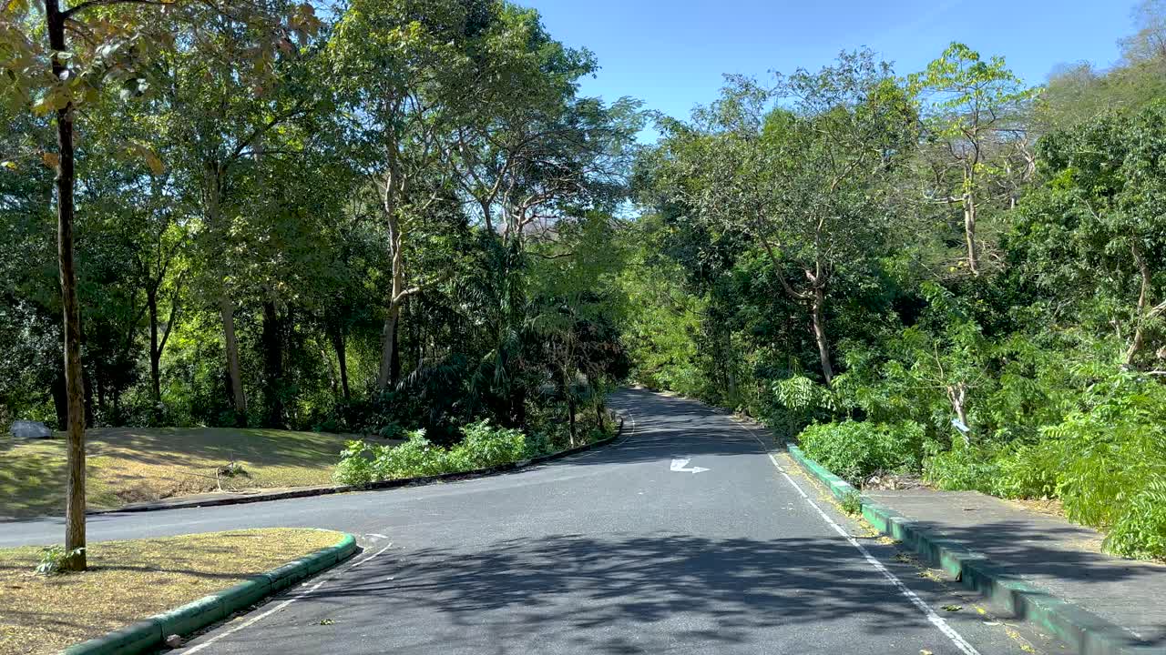 울창 한 초록색 을 가로질러 평화 로운 운전