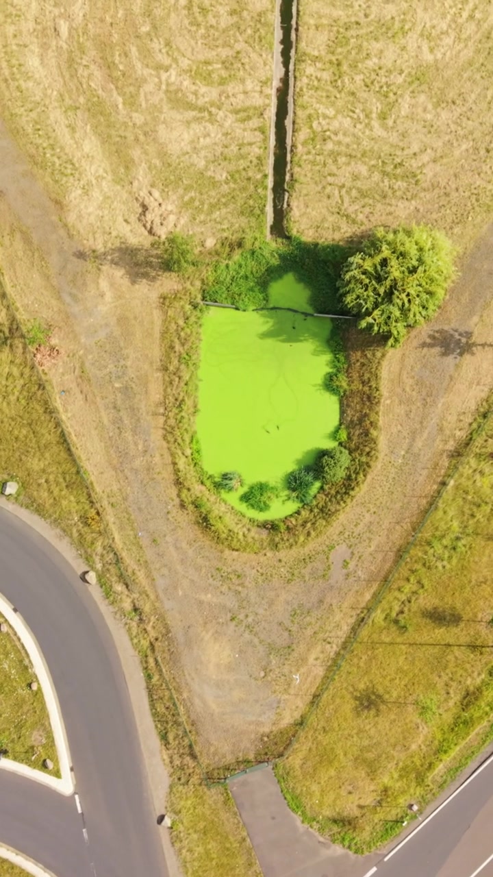 Vertical screen. Aerial perspective shows a green pond bordered by dry land and greenery, leading to a rich crop field in a rural setting