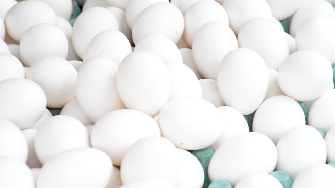 무료 박람회에서 판매되는 흰 계란, 파노라마 계획