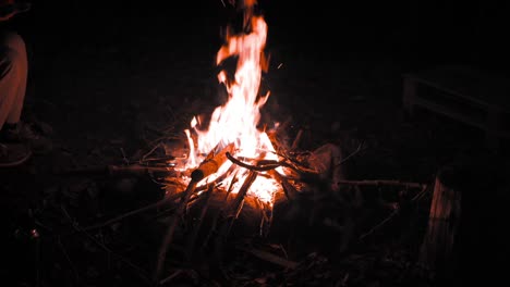 campfire in the nature, outdoor, camping