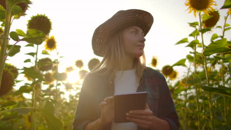 Bäuerin-Nutzt-Moderne-Technologie-Auf-Dem-Feld.-Ein-Mann-Mit-Hut-Geht-Bei-Sonnenuntergang-In-Ein-Sonnenblumenfeld,-Hält-Einen-Tablet-Computer-In-Der-Hand,-Betrachtet-Die-Pflanzen-Und-Drückt-Mit-Seinen-Fingern-Auf-Den-Bildschirm.-Zeitlupe