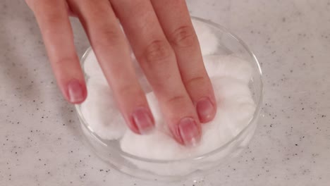 a scientist pours water onto cotton in a petri dish, adjusting it with fingers. bright lighting, close-up view