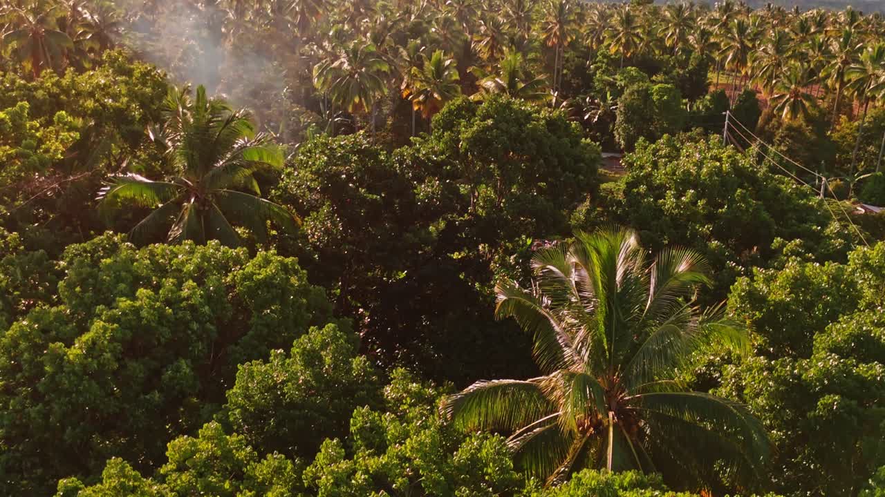 Drone aerial footage of a rural tropical village with palm trees, houses, and dirt roads in the Philippines during golden hour, ideal for travel, lifestyle, and cultural projects
