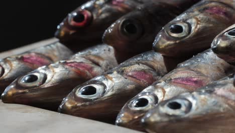 fresh anchovies