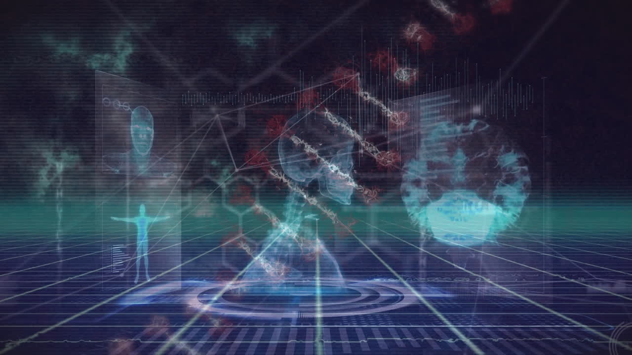 데이터 프로세싱을 통한 연결 네트워크의 애니메이션