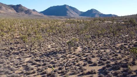 Aerial-view-over-Joshua-Tree-National-park,-California-desert-landscape