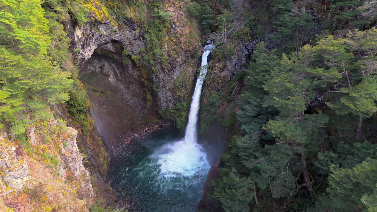 impresionante cascada en un bosque exuberante