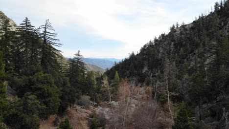 aerial drone shot through forest trees and canyons in the san gabriel mountains of southern california