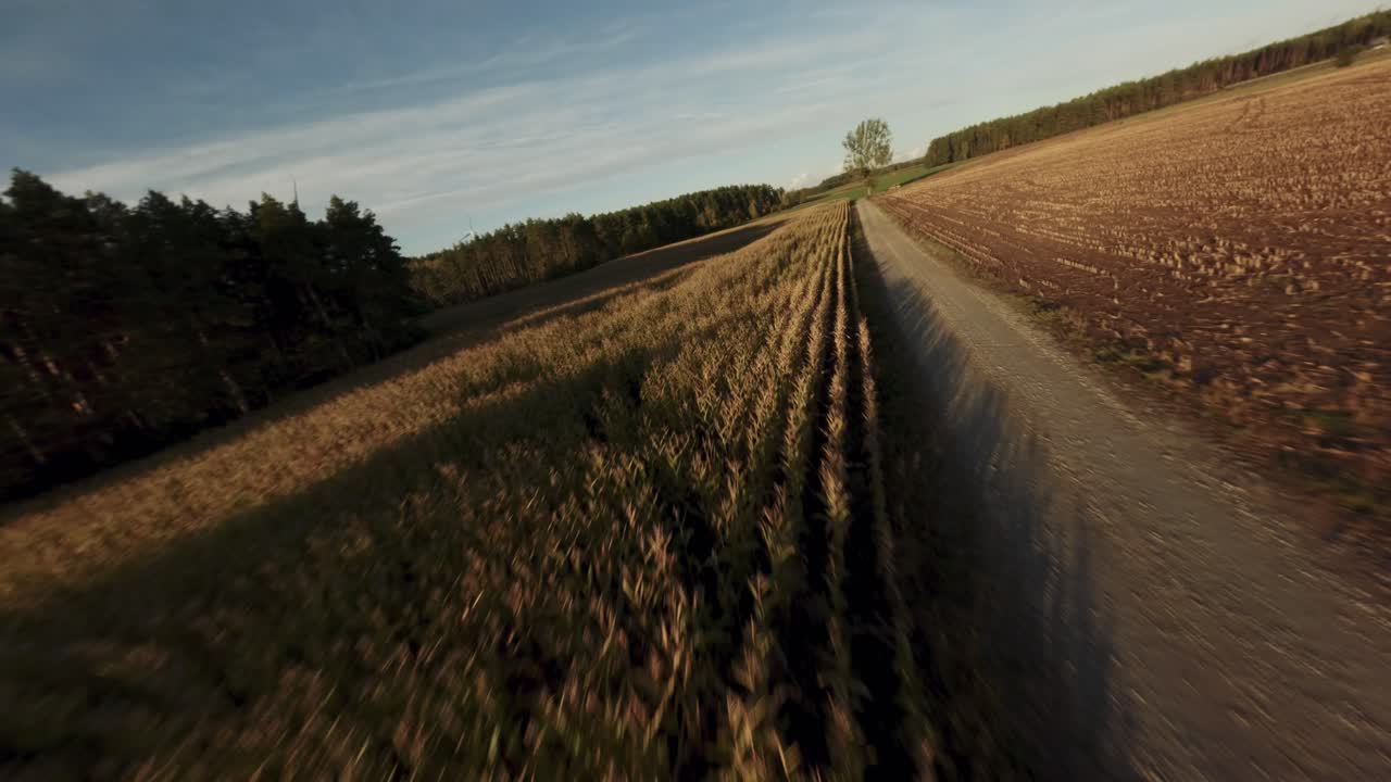 Renewable energy field with spinning windmills