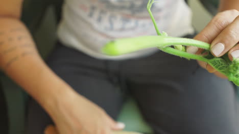 woman prepares zucchini flowers for traditional kalamata food outdoors