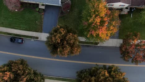 aerial top-down truck shot reveals street, road yellow line, tree tops in autumn fall evening