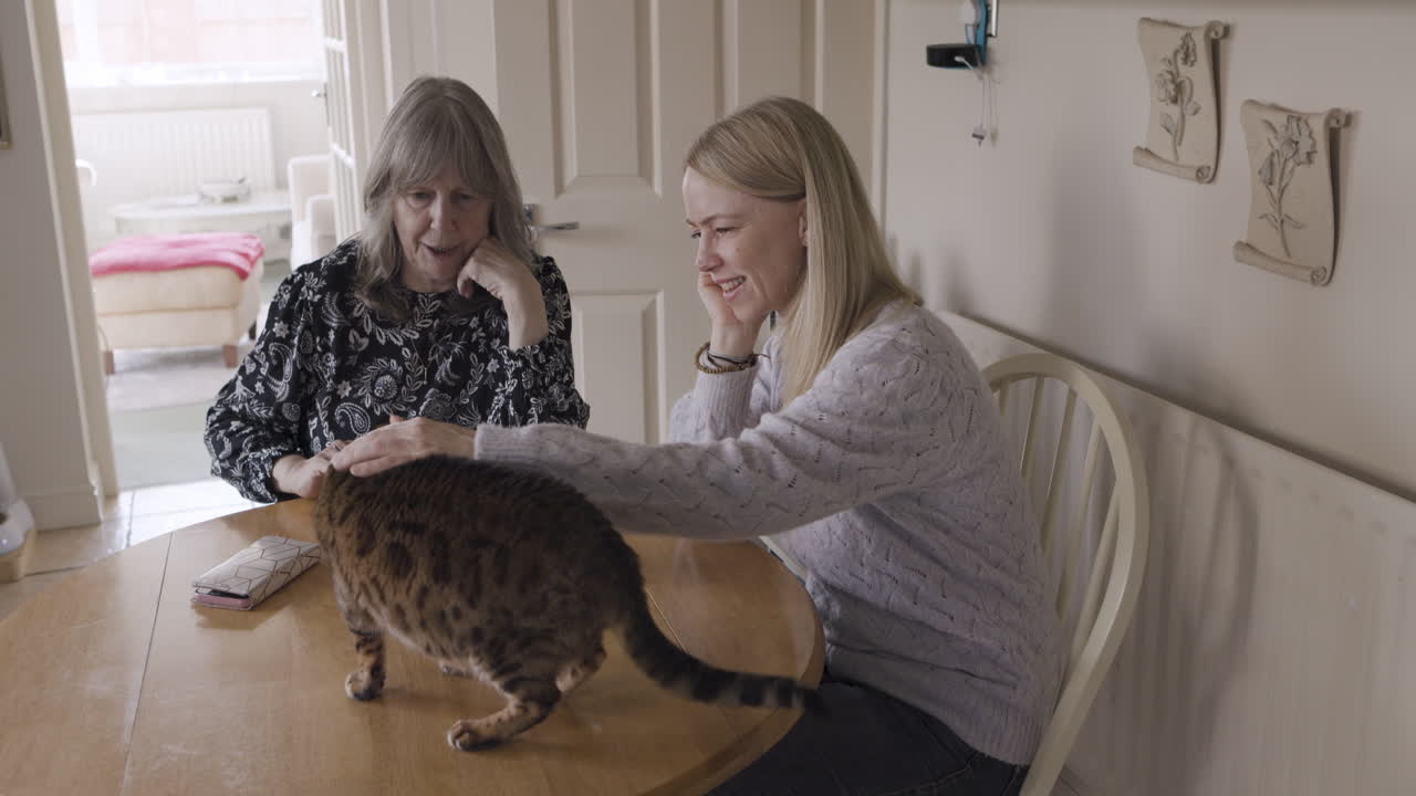 Two women interacting with a cat at a table indoors