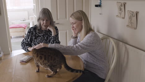 two women interacting with a cat at a table indoors