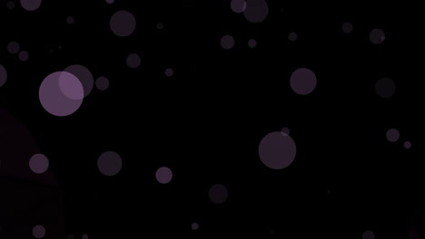 animación de la red de conexiones y puntos sobre un fondo oscuro