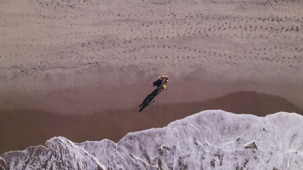 la vista superior del dron sigue a una pareja y un perro caminando por la orilla