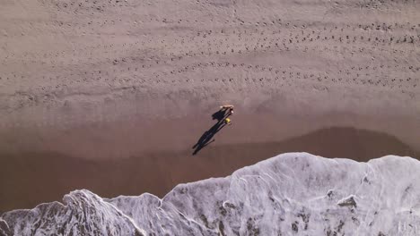 Drone-top-view-follows-a-couple-and-a-dog-walking-by-the-shore