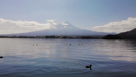 drone cerca del agua hacia adelante con patos y el monte fuji en segundo plano