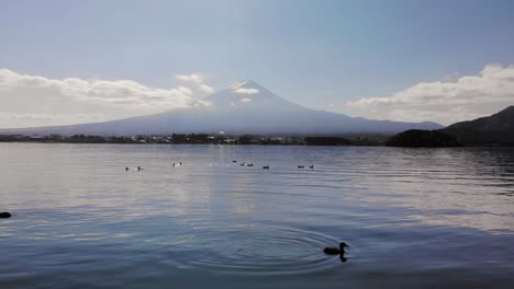 drone close to water forward with ducks and mount fuji in background