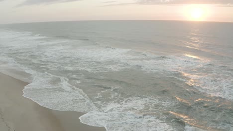 bird flying on the beach while the sun sets