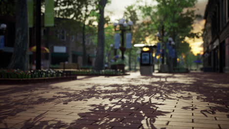 quiet-city-park-with-trees-and-benches