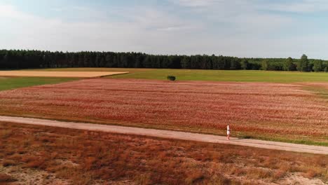 an aerial of a woman wearing a white dress holding wildflowers, walking down a dirt track, zoom out to reveal flower and grass fields and trees on the horizon