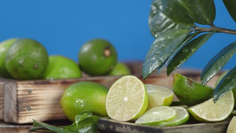 juicy limes with leaves slowly rotate.