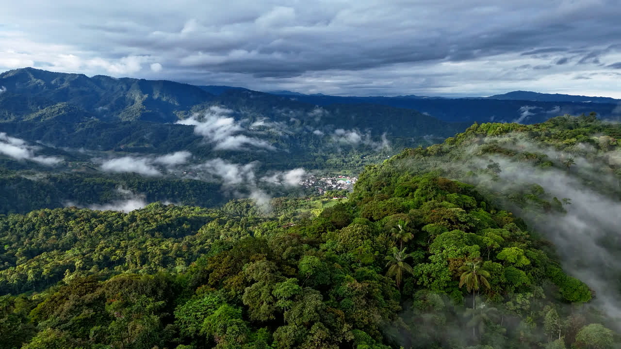에도르 민도 (mindo) 의 열대 구름 숲 위로 아오르는 놀라운 아름다운 구름 안개.