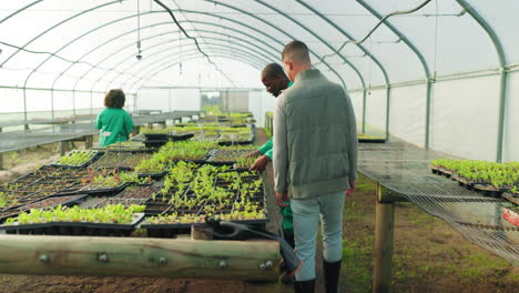 Farmer,-team-and-handshake-for-greenhouse-plants