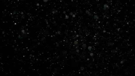 nieve en cámara lenta sobre un fondo negro
