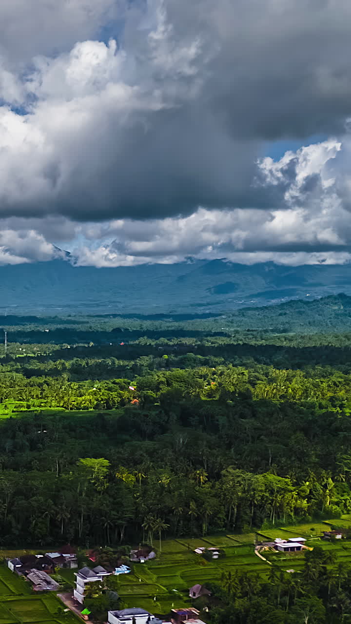 White Thick Clouds Moving Over Rural Farm And Coconut Trees In Indonesia. - vertical timelapse shot