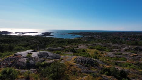 scenic seascape and lush vegetation - aerial drone shot. sweeden
