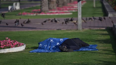 un individuo sin hogar descansa bajo el cielo abierto en un parque