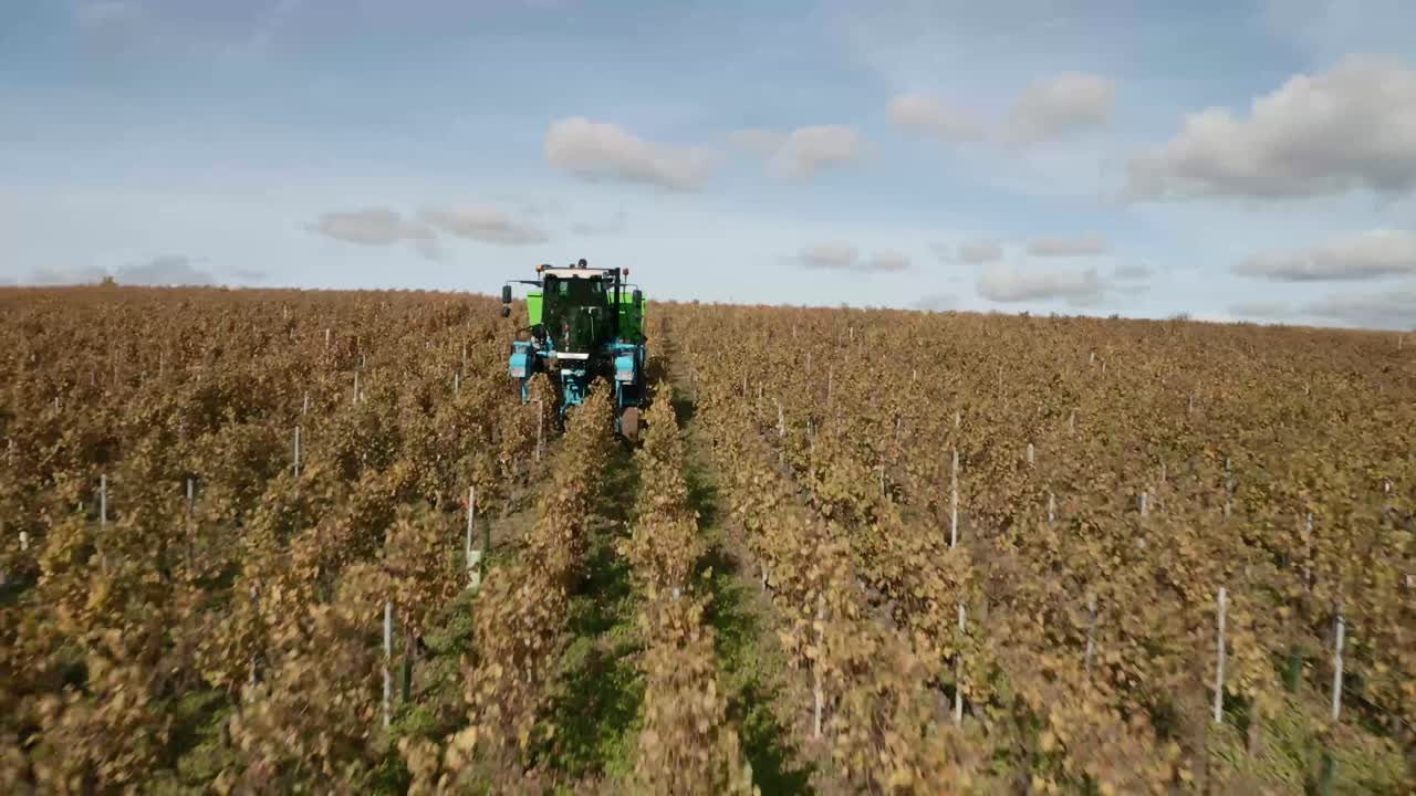 Passing a wine harvesting tractor driving through a vineyard.