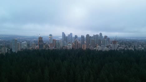 aerial view of urban skyline framed by lush foliage